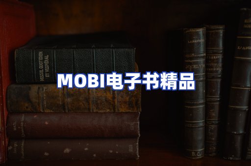 外文电子书产品